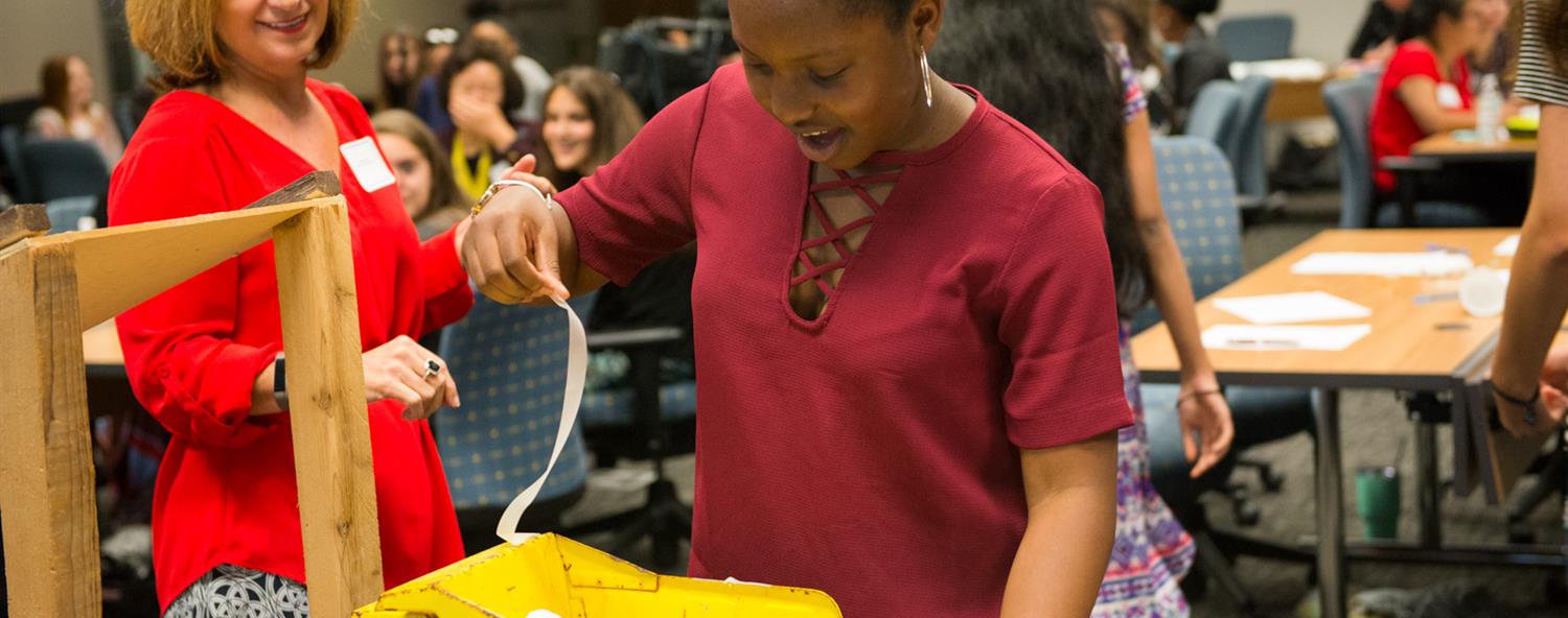 Introduce a Girl to Engineering