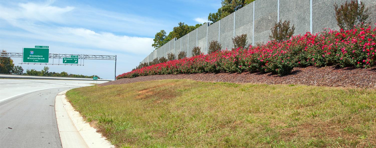 Reducing Noise Pollution