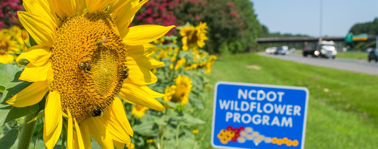 Pollinator Habitats